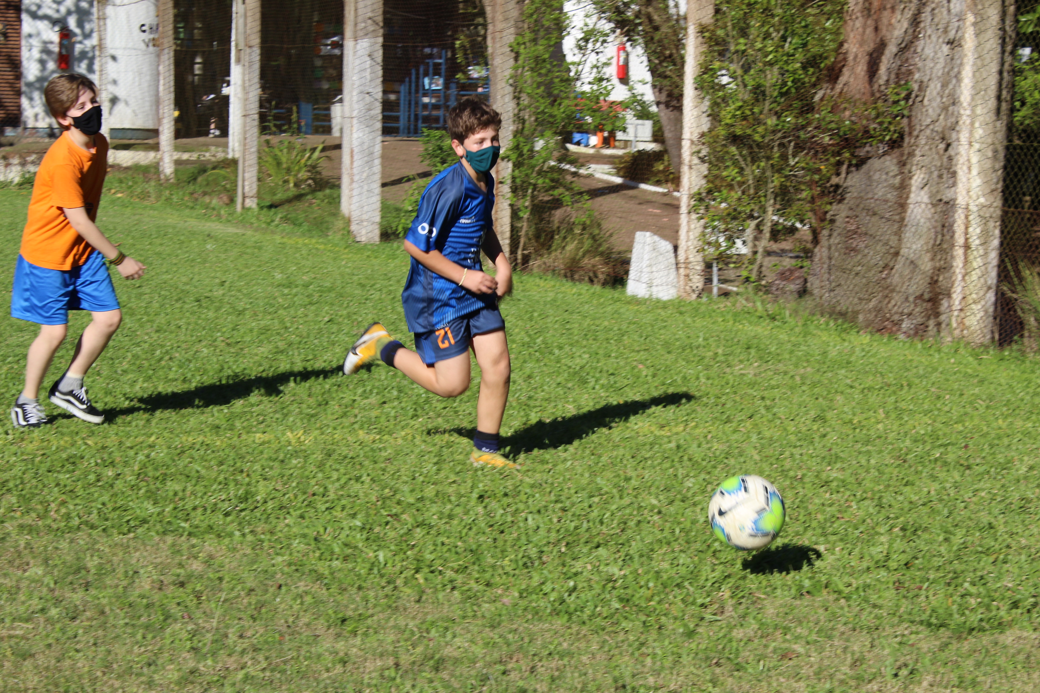 Cópia_de_IMG_7553.JPG